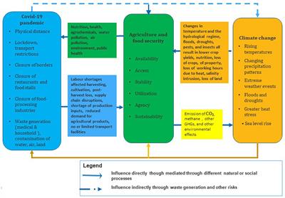 A Framework for Addressing the Twin Challenges of COVID-19 and Climate Change for Sustainable Agriculture and Food Security in South Asia